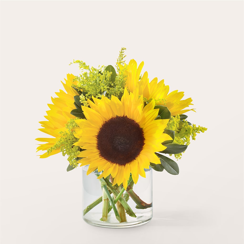 Beaming Sunflower Bouquet – SMITH'S, Salt Lake City UT