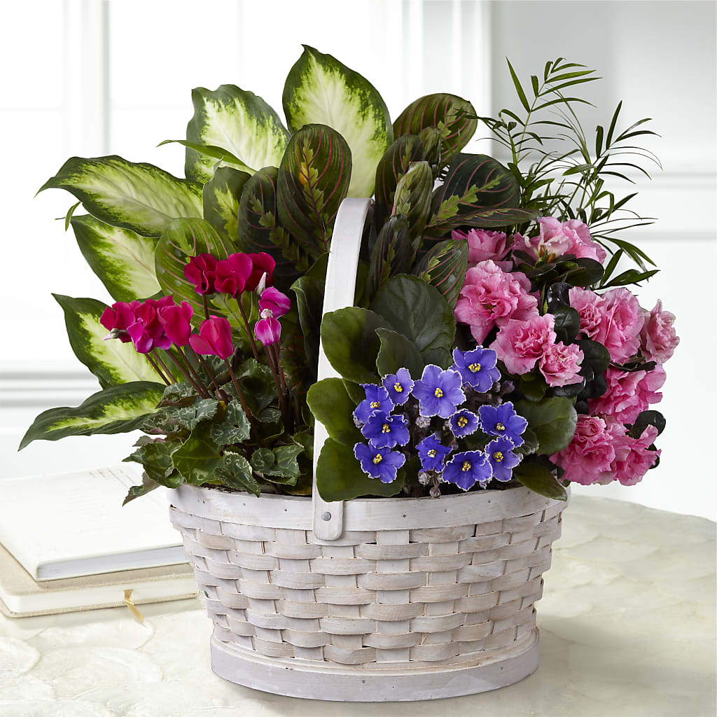 Peaceful Garden Planter – SMITH'S, Salt Lake City UT