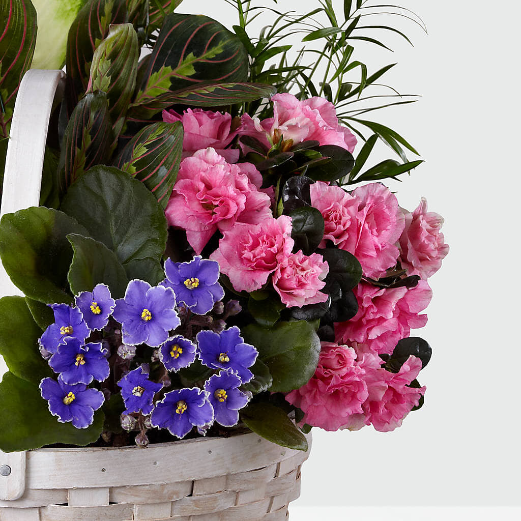 Peaceful Garden Planter – SMITH'S, Salt Lake City UT