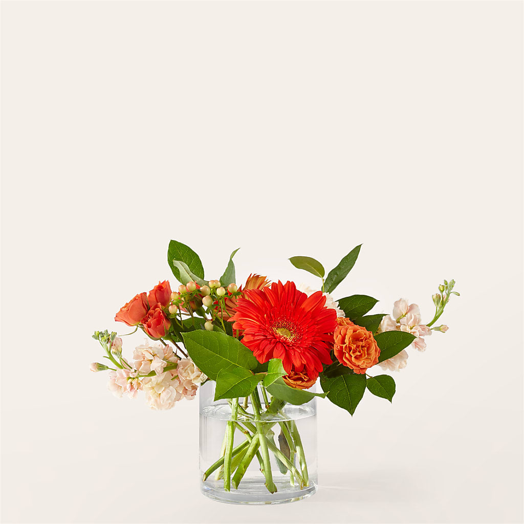 Paloma Please Bouquet – SMITH'S, Salt Lake City UT