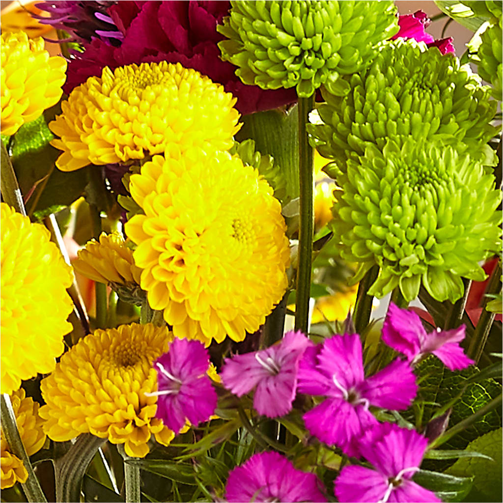 Bold & Bright – A Florist Original – SMITH'S, Salt Lake City UT