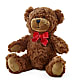 Adorable Plush Bear – SMITH'S, Salt Lake City UT