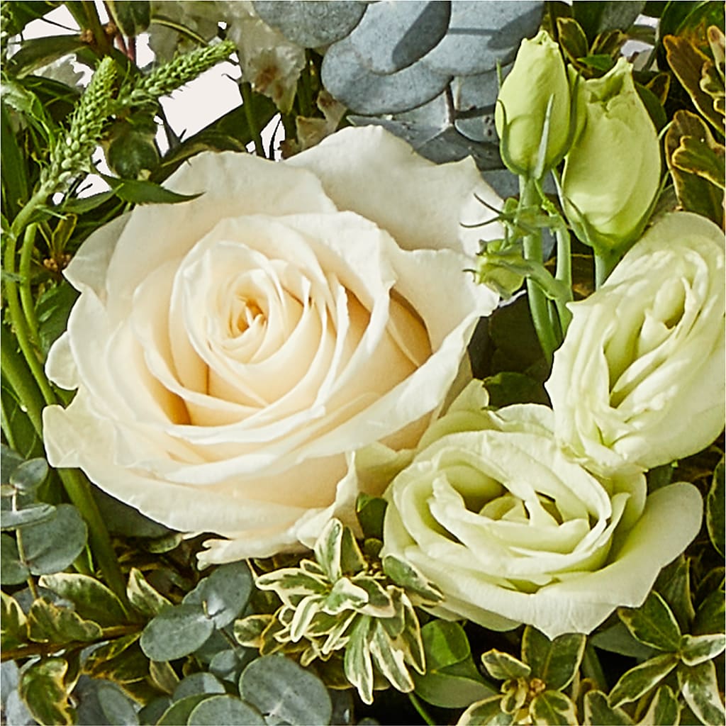 Cashmere Bouquet – SMITH'S, Salt Lake City UT