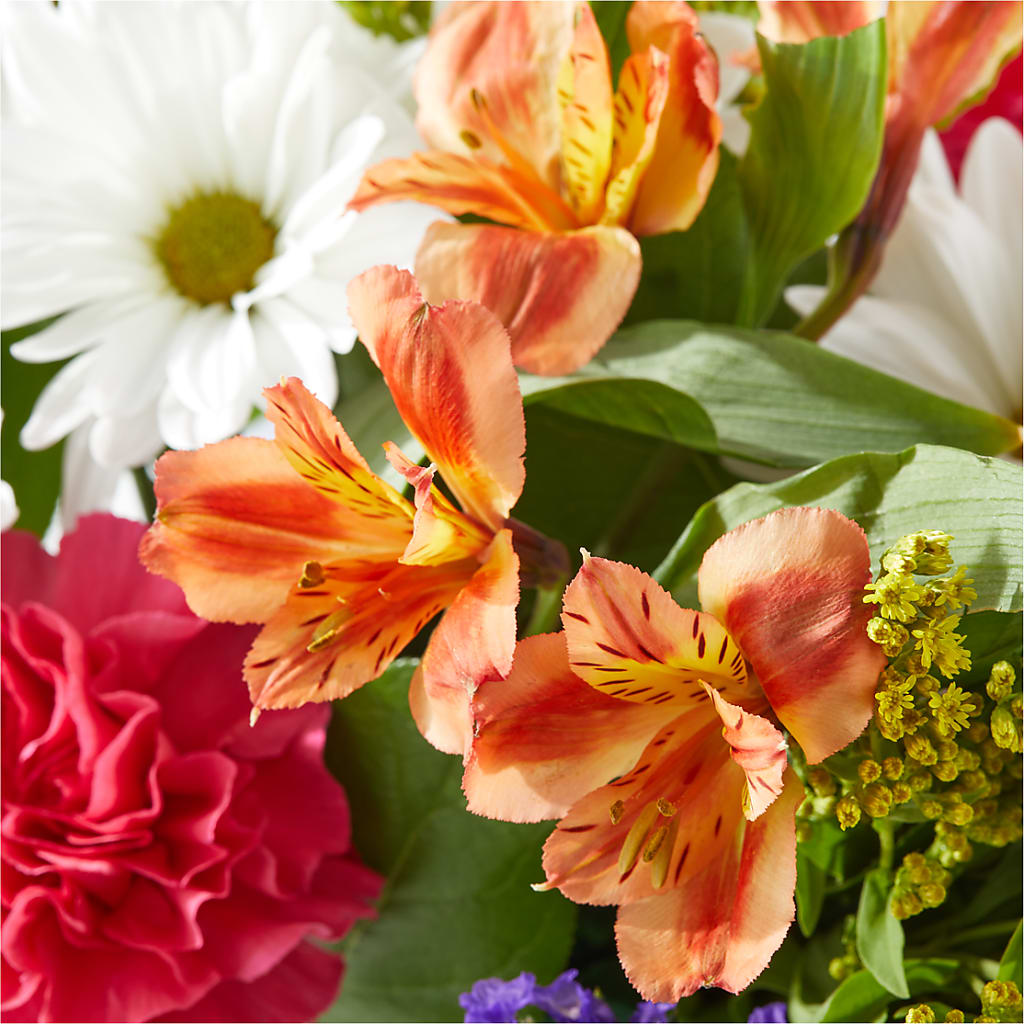 Oopsie Daisy Box Bouquet – SMITH'S, Salt Lake City UT