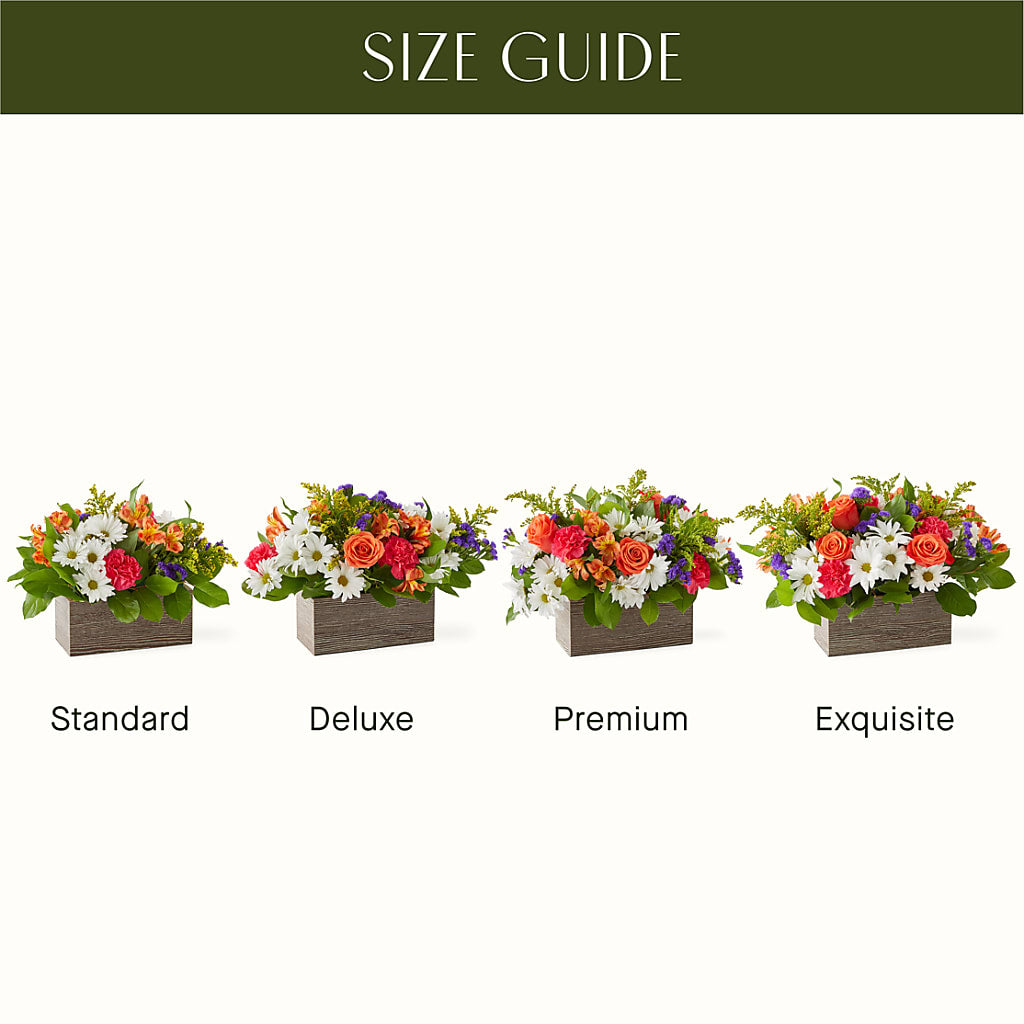 Oopsie Daisy Box Bouquet – SMITH'S, Salt Lake City UT