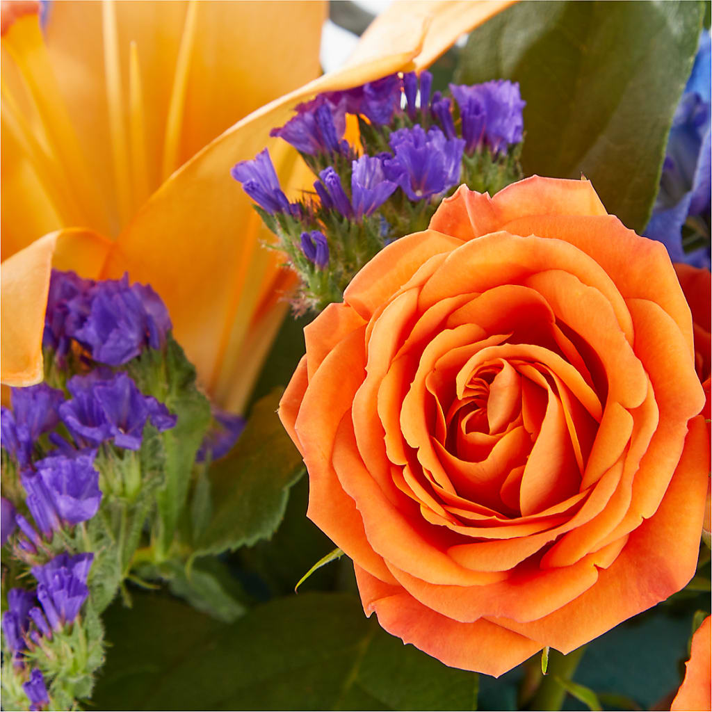 Radiant Citrus Box Bouquet – SMITH'S, Salt Lake City UT