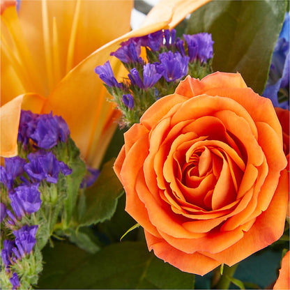 Radiant Citrus Box Bouquet – SMITH'S, Salt Lake City UT