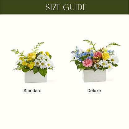 Sun Salutation Box Bouquet – SMITH'S, Salt Lake City UT