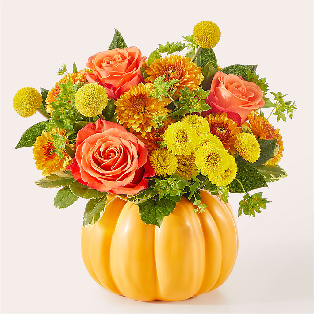 Gourdgeous Pumpkin – SMITH'S, Salt Lake City UT
