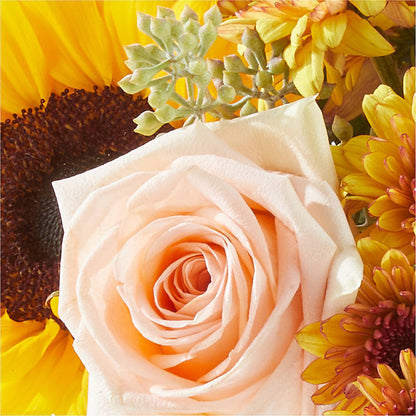 Pumpkin to Talk About Bouquet – SMITH'S, Salt Lake City UT