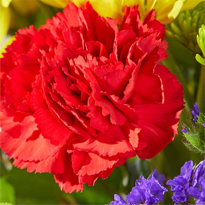 Brighter Days Bouquet – SMITH'S, Salt Lake City UT
