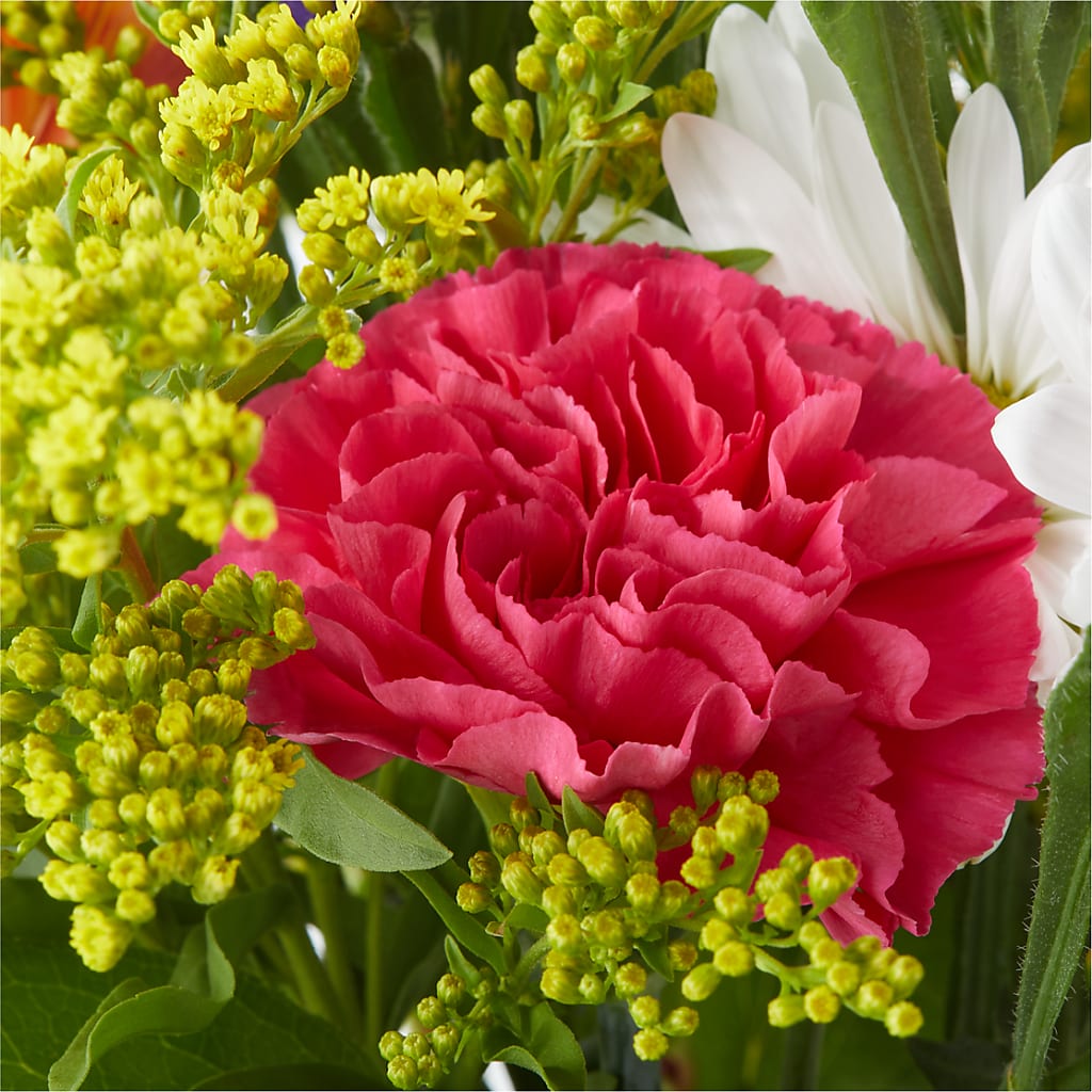 Oopsie Daisy Bouquet – SMITH'S, Salt Lake City UT