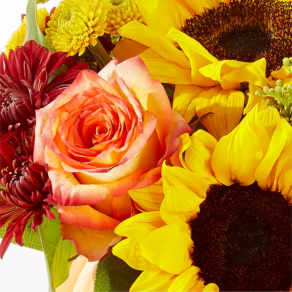 Golden Gourd Pumpkin Bouquet – SMITH'S, Salt Lake City UT