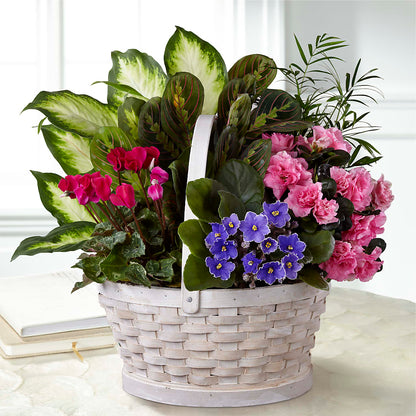 Peaceful Garden Planter – SMITH'S, Salt Lake City UT