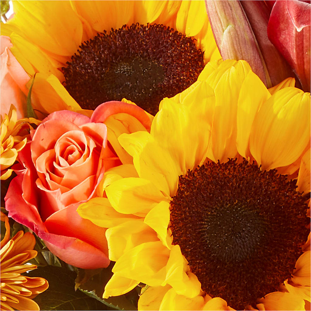 Acorn Lane Bouquet – SMITH'S, Salt Lake City UT
