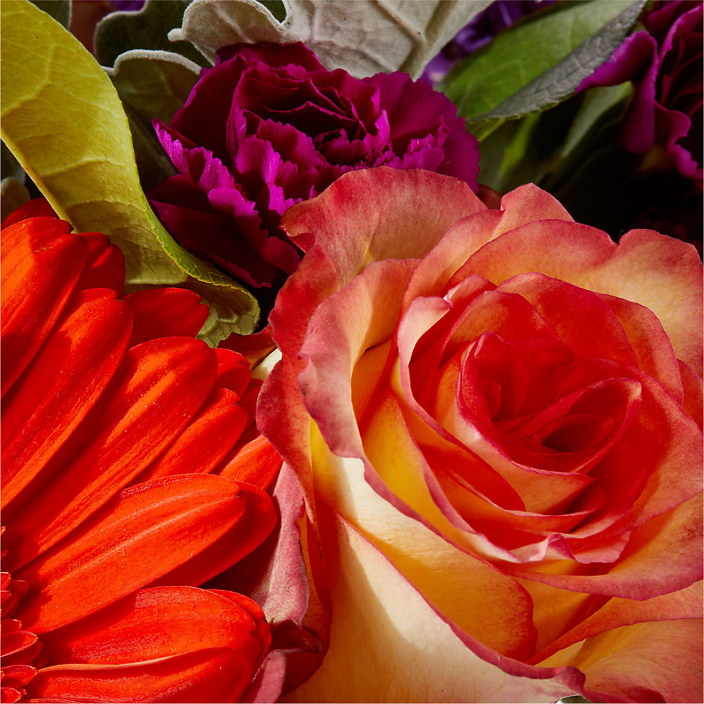 Sangria Bouquet – SMITH'S, Salt Lake City UT