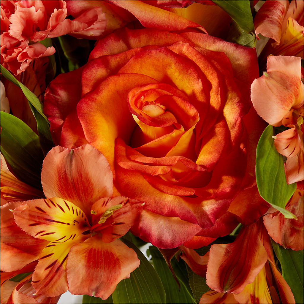 Apricot Glow Bouquet – SMITH'S, Salt Lake City UT
