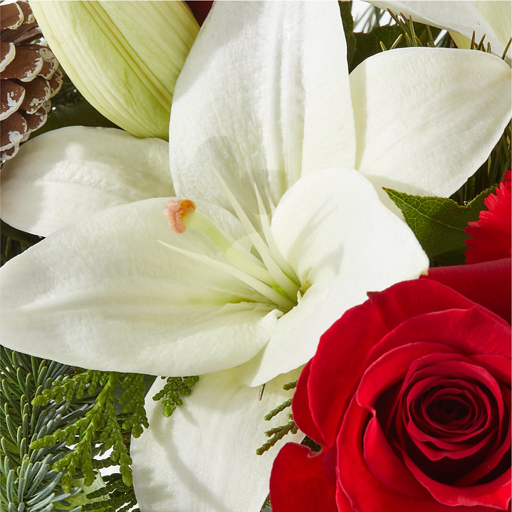 Oh So Jolly Bouquet – SMITH'S, Salt Lake City UT