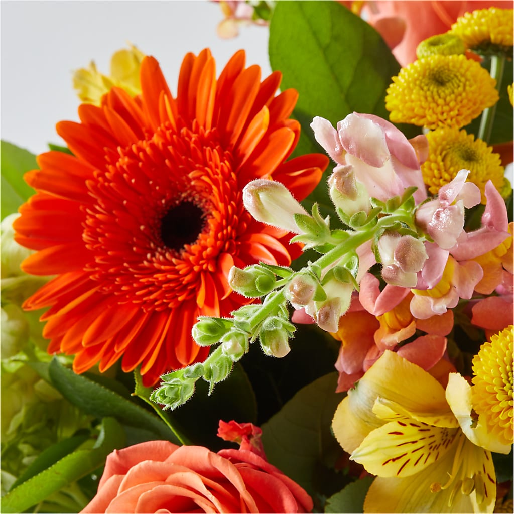 Autumn Sunshine Bouquet – SMITH'S, Salt Lake City UT