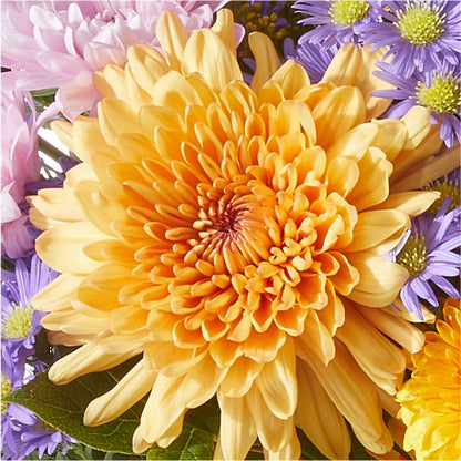 Countryside Bouquet – SMITH'S, Salt Lake City UT
