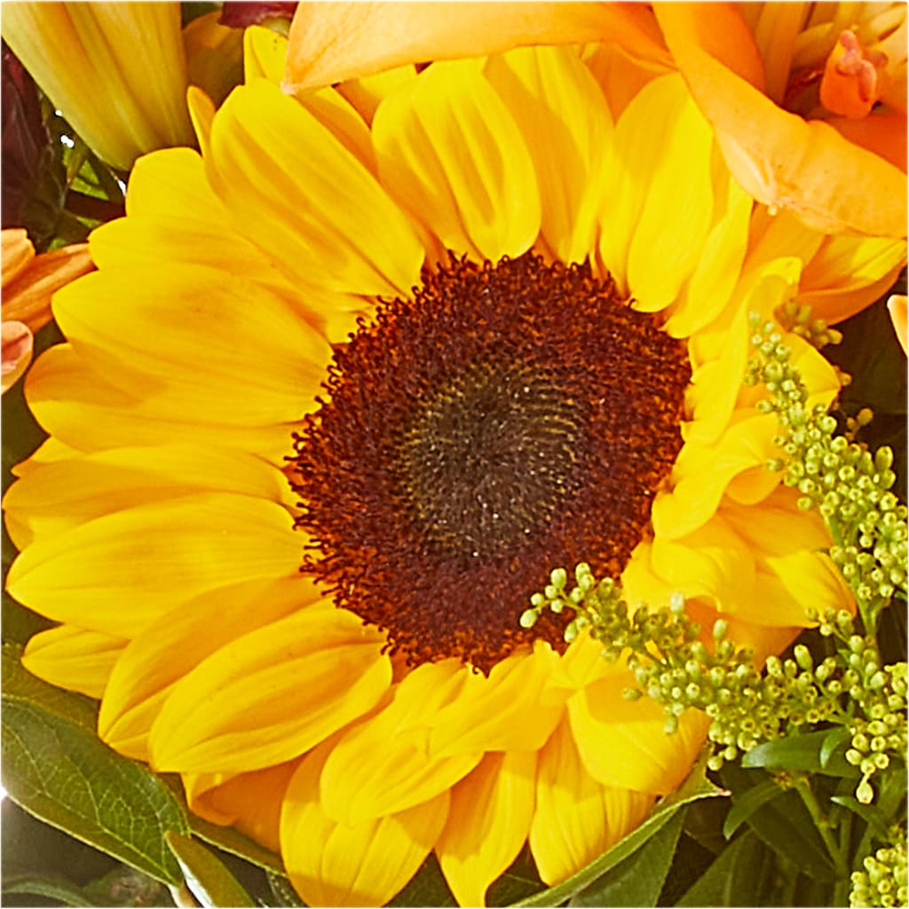 Seasons Change Bouquet – SMITH'S, Salt Lake City UT