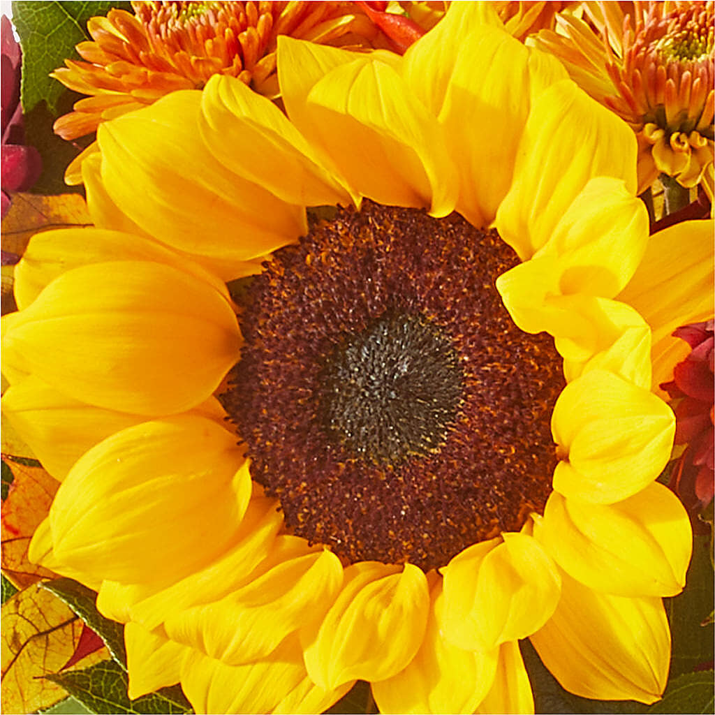 Sunny Side Bouquet – SMITH'S, Salt Lake City UT