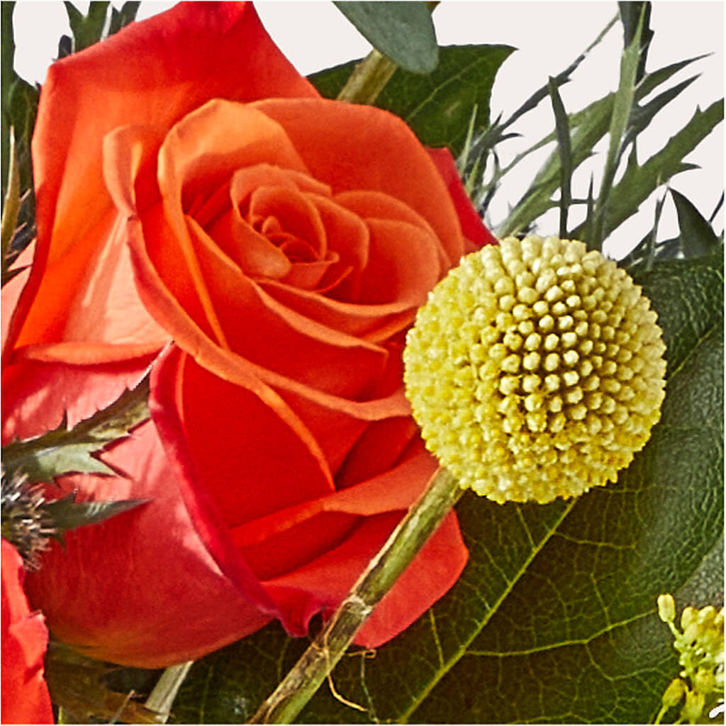 Disco Bouquet – SMITH'S, Salt Lake City UT
