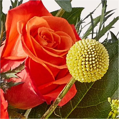 Disco Bouquet – SMITH'S, Salt Lake City UT