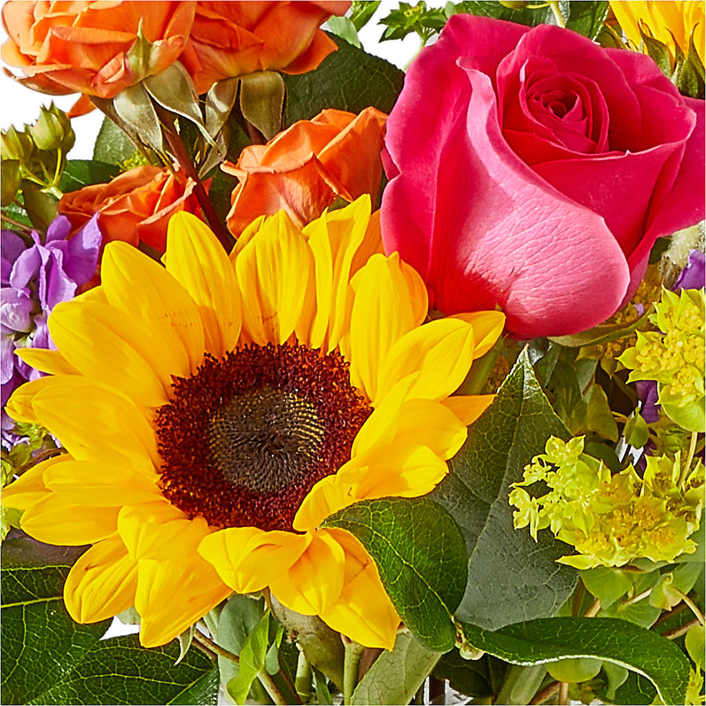 Vibrant Greetings Bouquet – SMITH'S, Salt Lake City UT