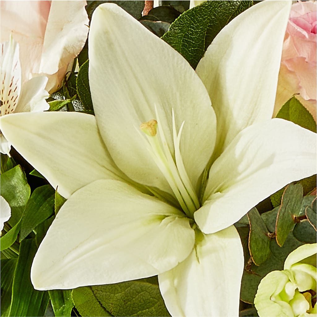Ballet Slippers Bouquet – SMITH'S, Salt Lake City UT