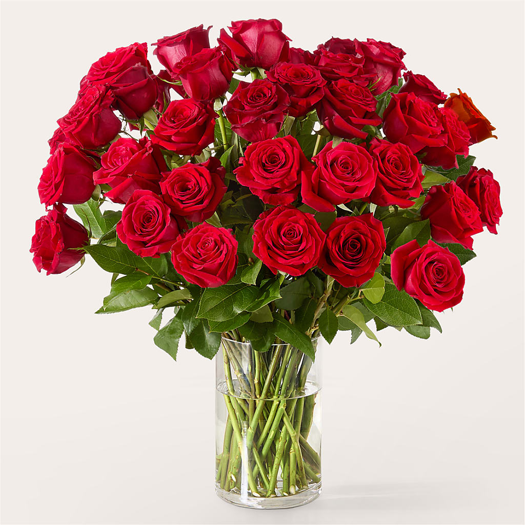 The One Red Rose Bouquet – SMITH'S, Salt Lake City UT